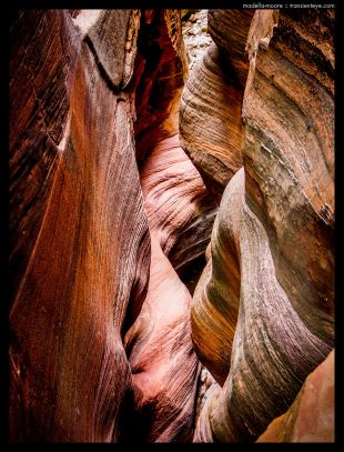 Water Carved Canyon Features, Zion National Park